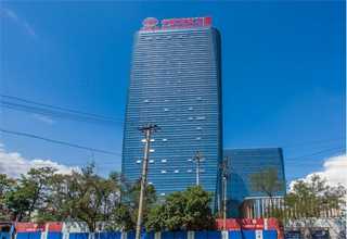 上海苹果电泳哪家好