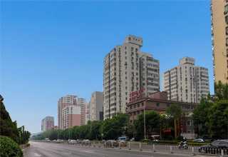 景观人造草坪生产厂家