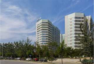 浙江新能源猎头服务好