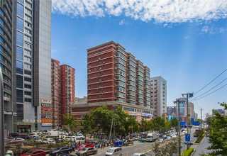 广东百搭羊毛衫价格